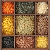 Pulses
